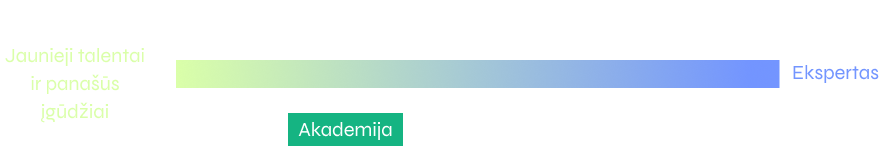 Kandidatų įgūdžių vertinimo schema